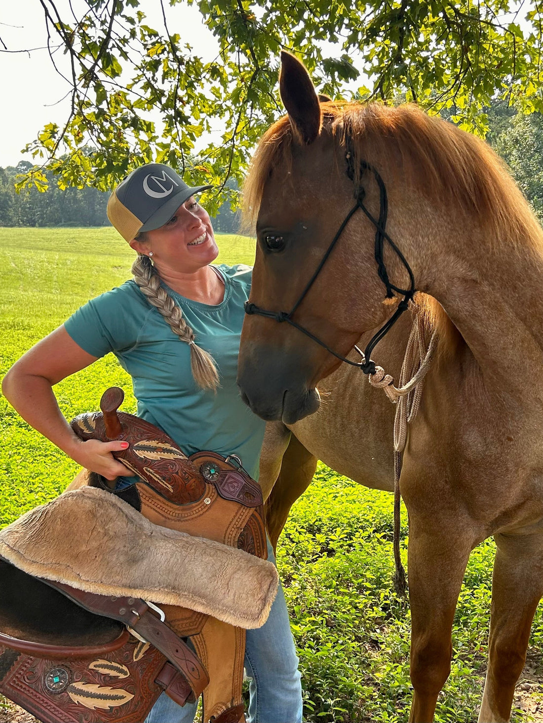 Before the Saddle
