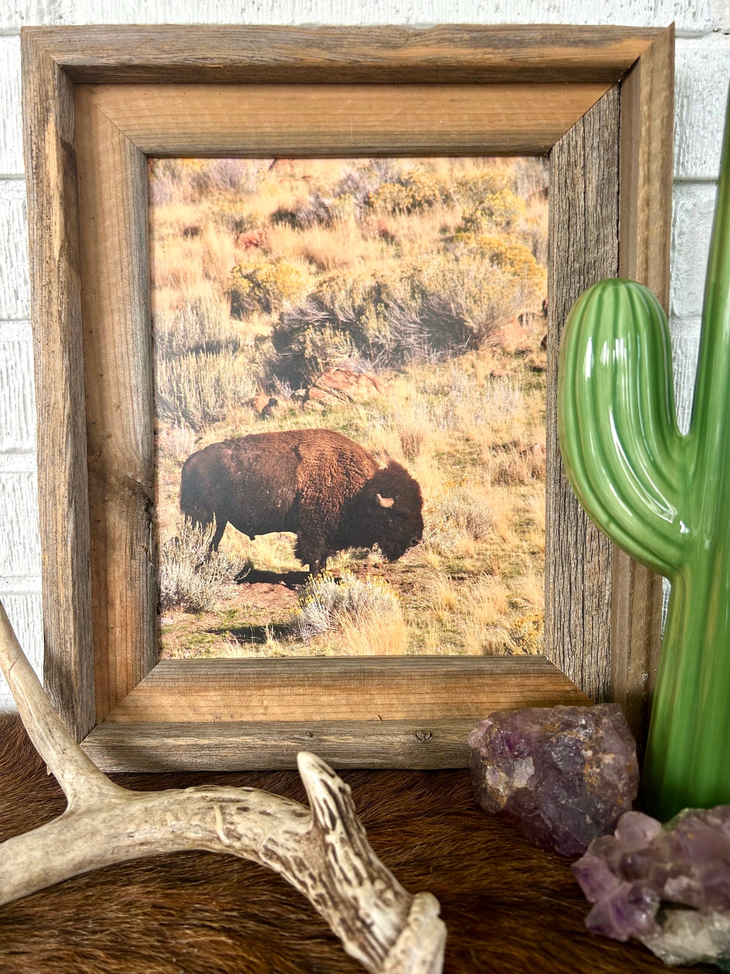 Western Art and Photography Package