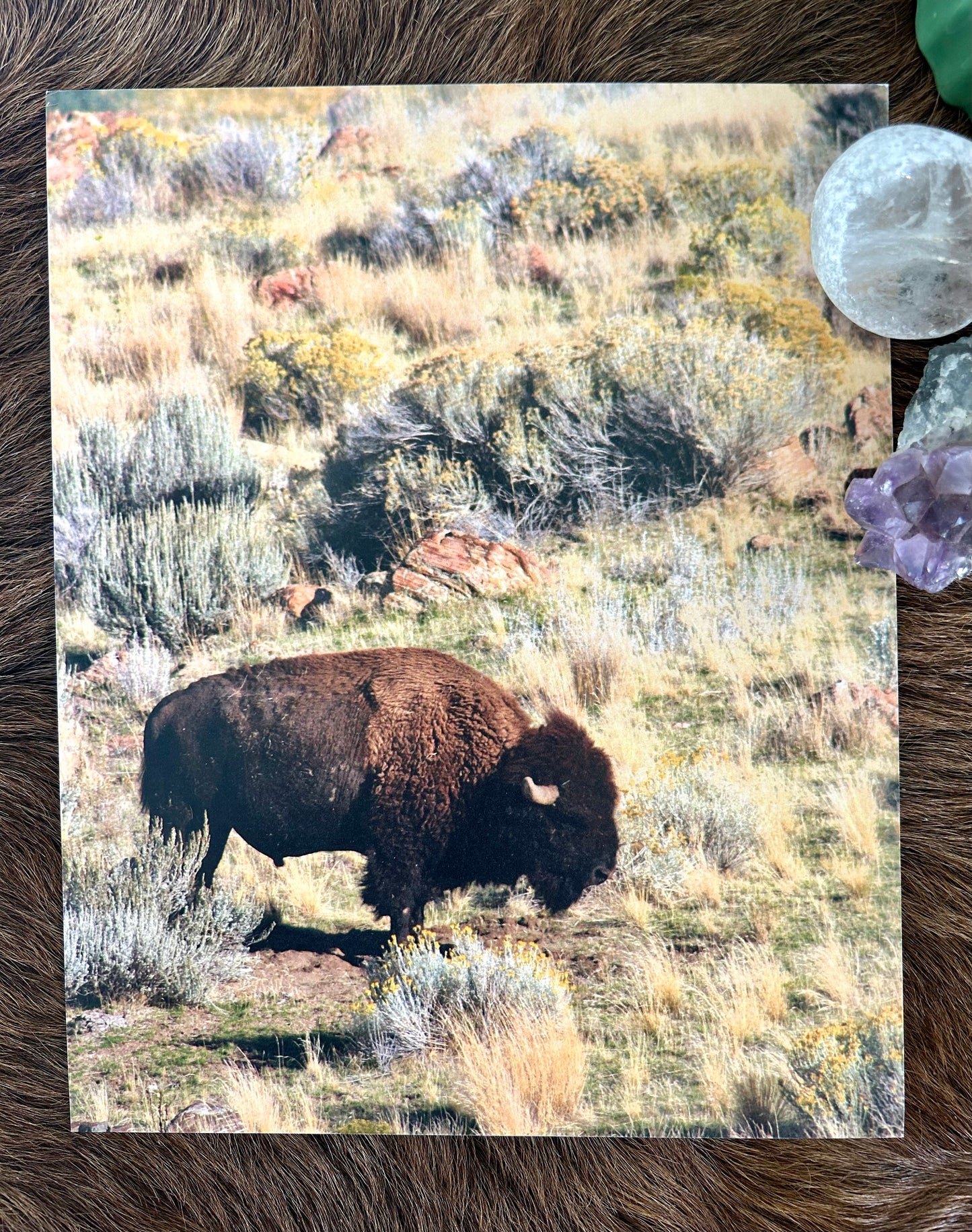 Western Art and Photography Package