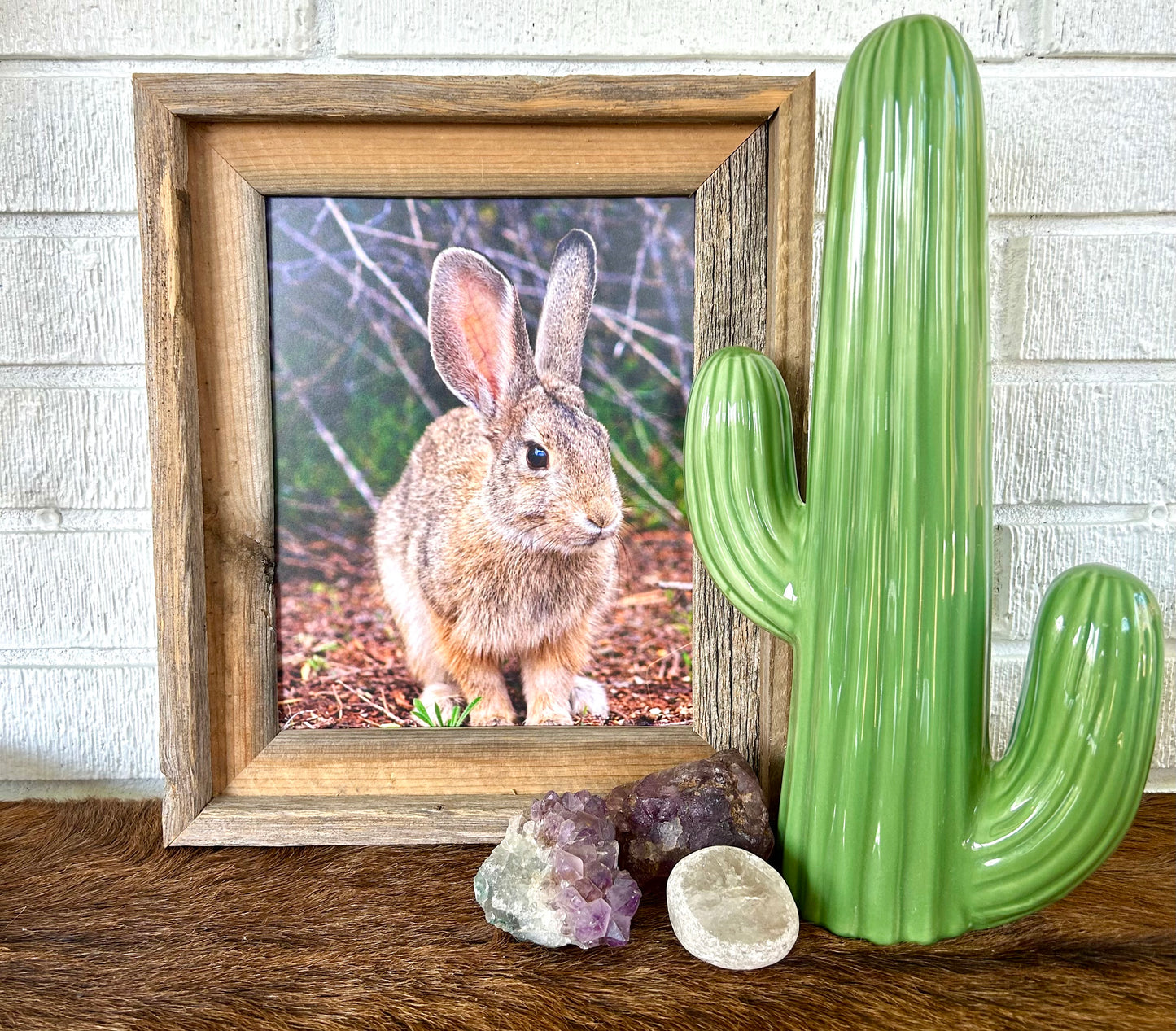 Western Art and Photography Package