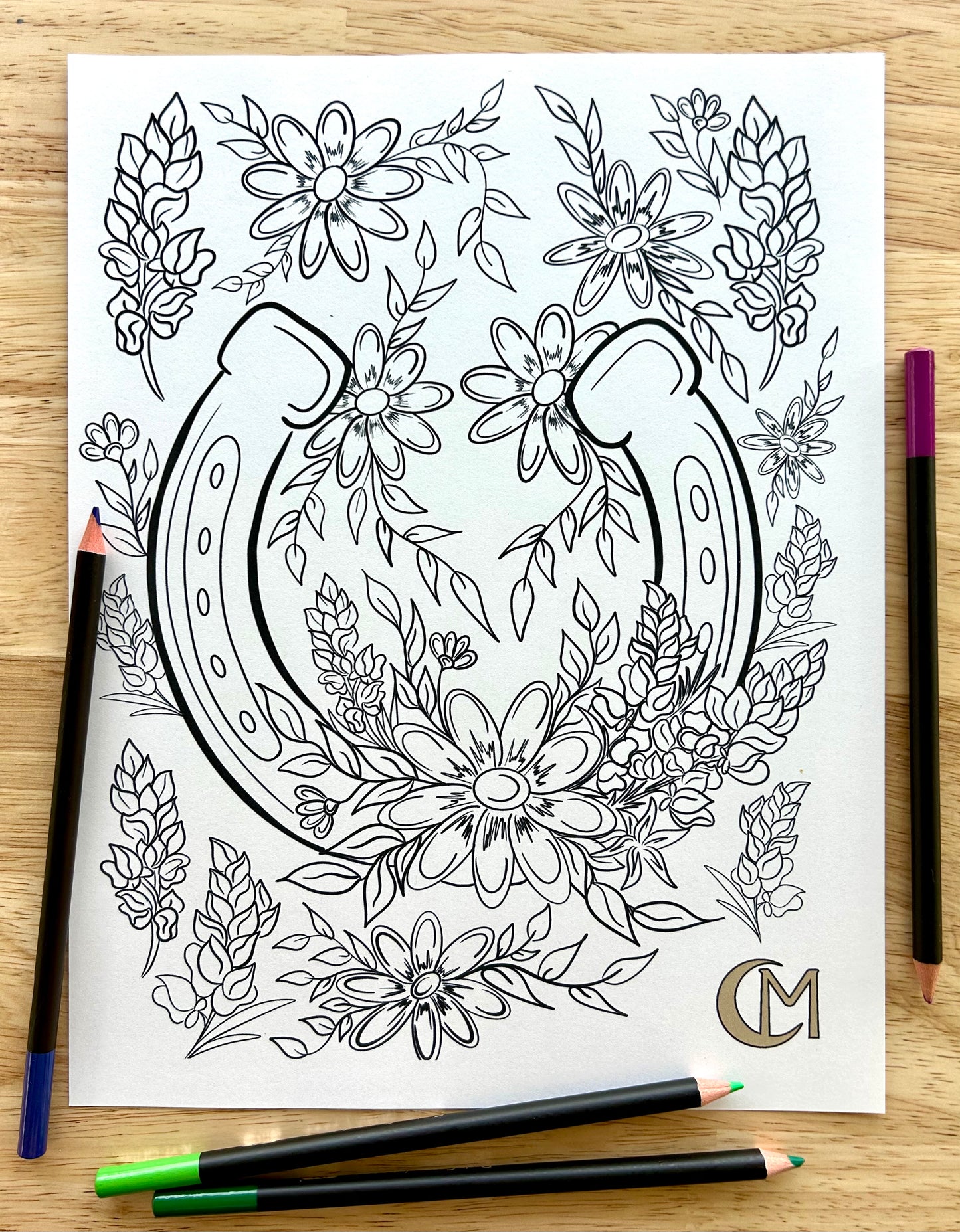Echoes of the West Coloring Set
